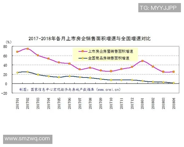 成都网球队防反战术解析与热点动态全景解读 成都网球队防反战术解析与热点动态全景解读